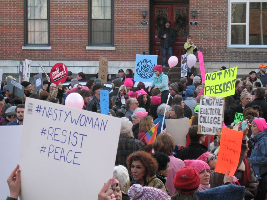 Inaugurate_resistance_march_Albany_07.jpg