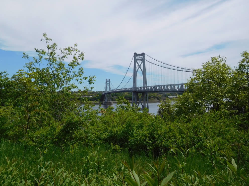 Mid-Hudson_Valley_Julie_Madsen_franny_reese_state_park_ny.jpg