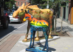 Moose in Bennington.jpg