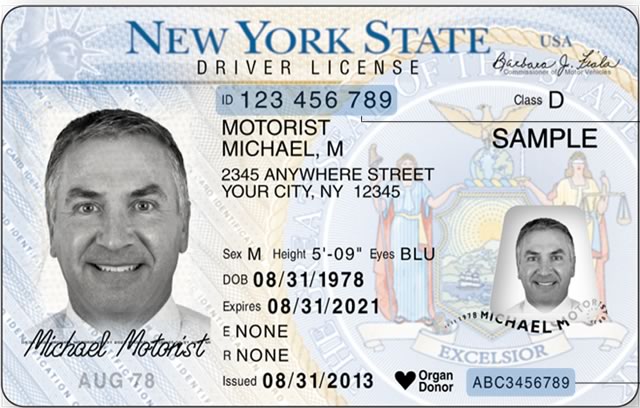 New York State Drivers License Template Psd