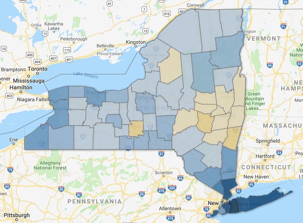 New York State Democratic primary governor 2018 map
