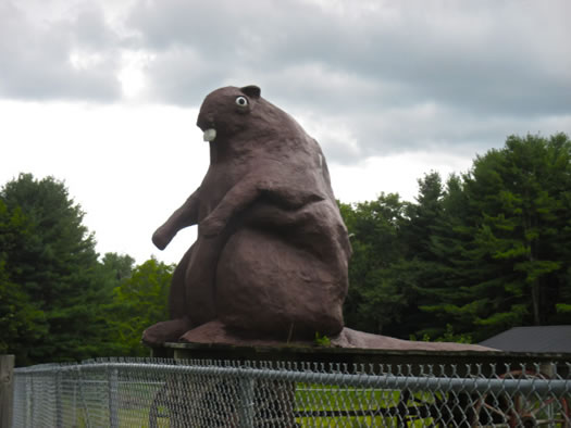 Odd_museums_attractions_big_beaver.jpg