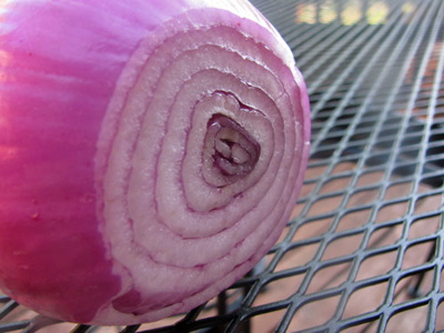 Onion