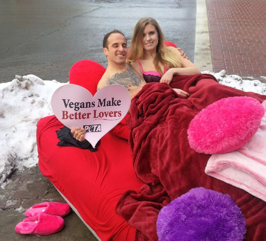PETA downtown Albany Valentines Day