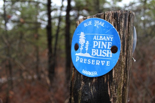 Pine Bush Marker