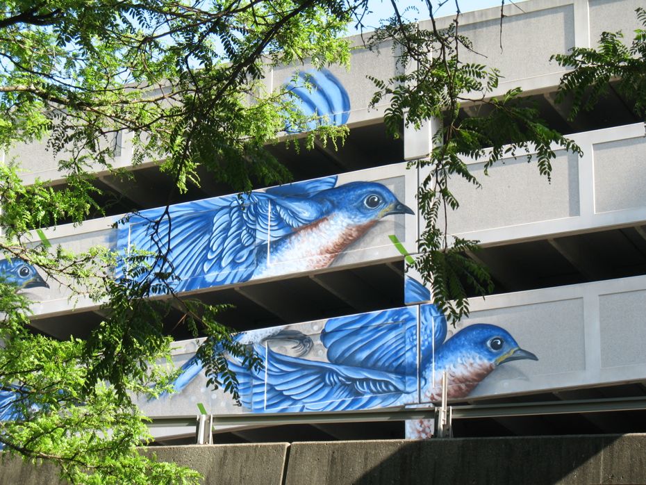 Quackenbush Parking Garage blue bird mural