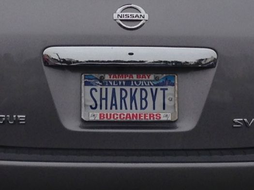 SHARKBYT.jpg