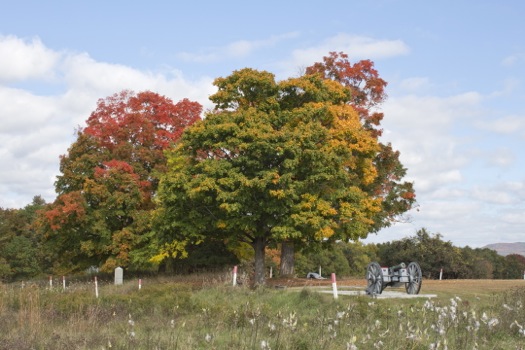 fall foliage and cannon at Saratoga National Historic Park