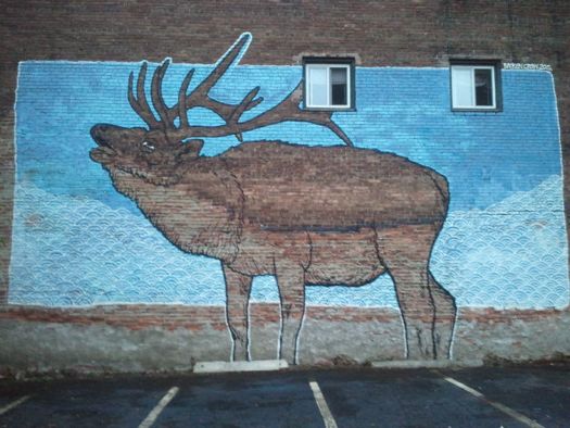 Spring Street Elk.jpg