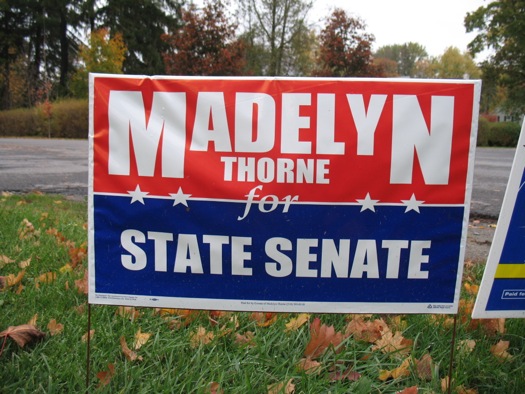 StateSenate49th_Thorne.jpg