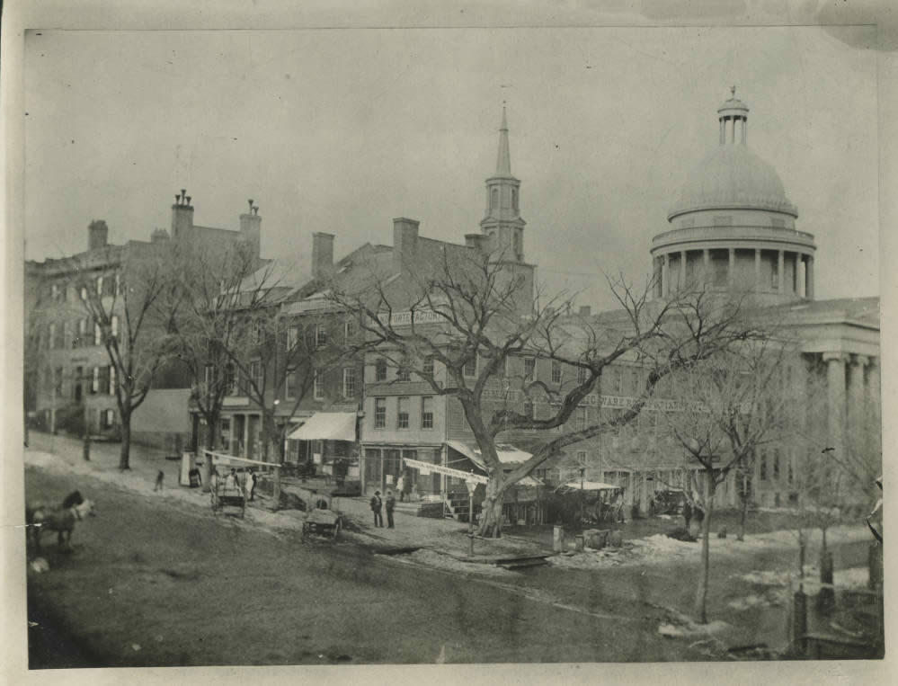 State and Pearl Albany elm tree 1849