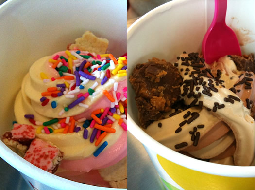 TCBY_two_flavors_composite.jpg