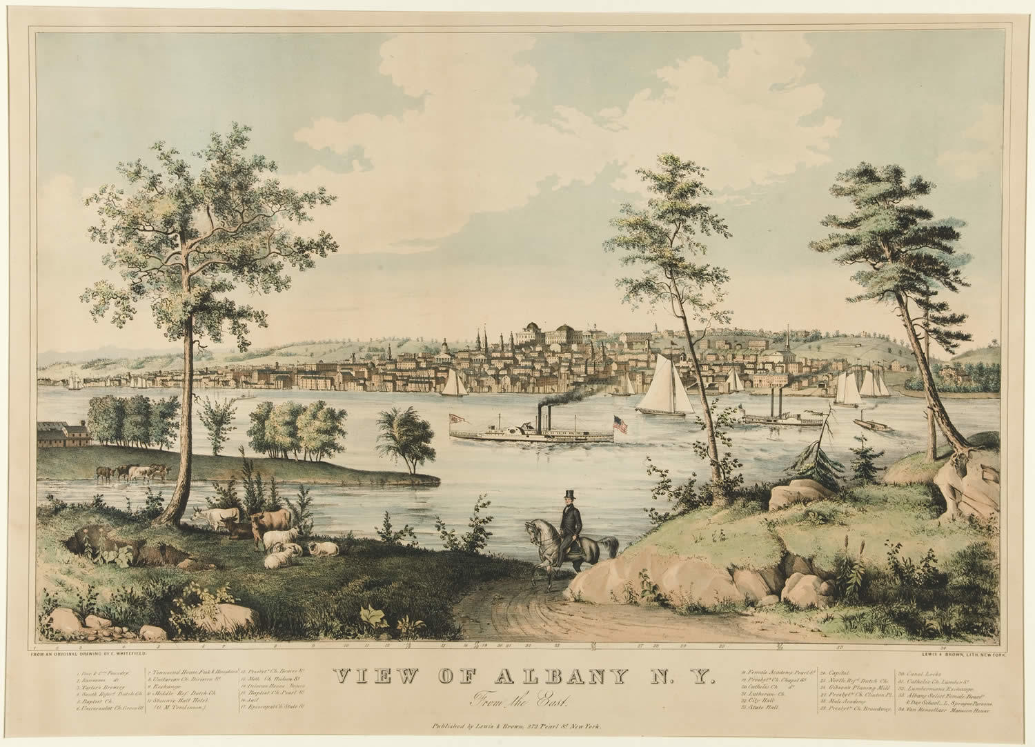 View of Albany from the East 1845 Edwin Whitefiled