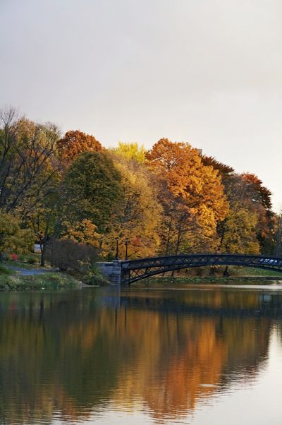 Washington Park Bridge - Autumn -Bennet Campbell.jpg