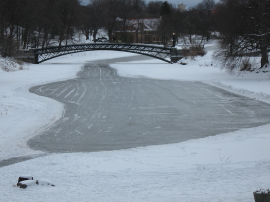 Washington Park Lake - Frozen.JPG