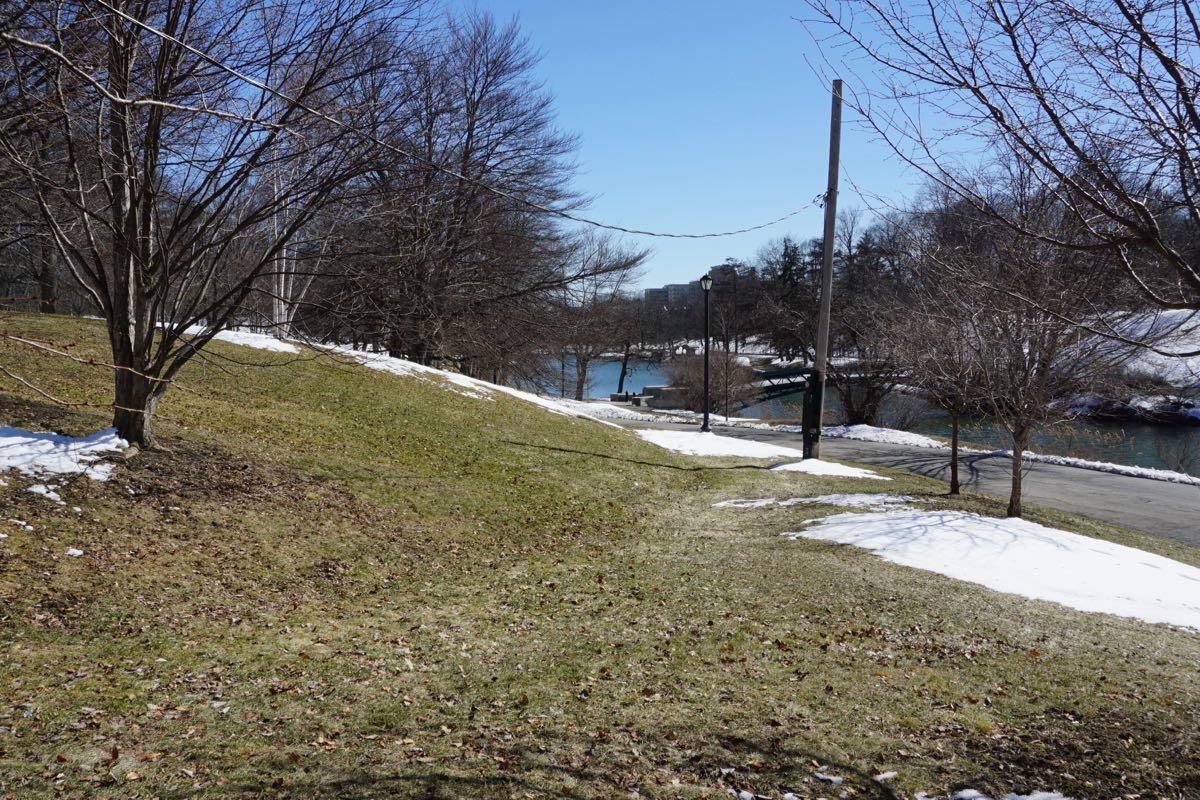 Washington Park orchard site 2018-03-19