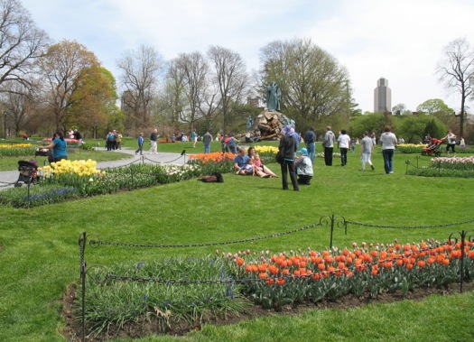 Washington Park tulips 2014