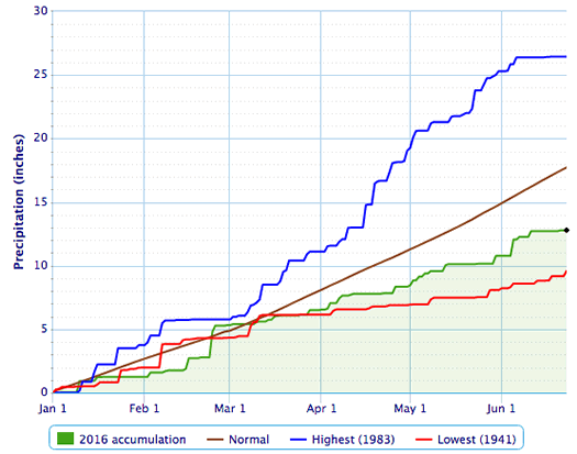 accumulated precipitation Albany ytd 2016-06-23