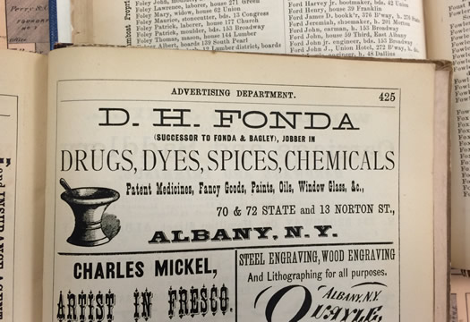 albany directory 1875 D H Fonda drugs