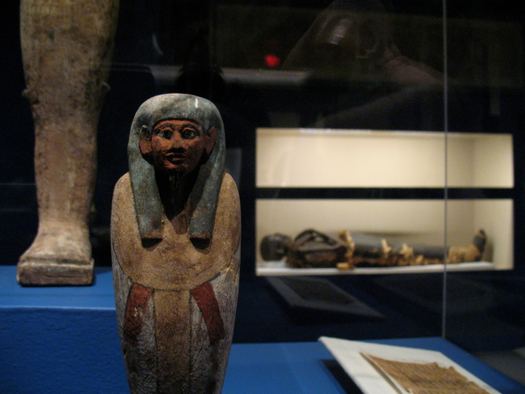 albany institute ptolemaic mummy