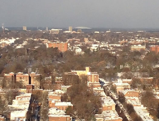 albany landfill snowy peak