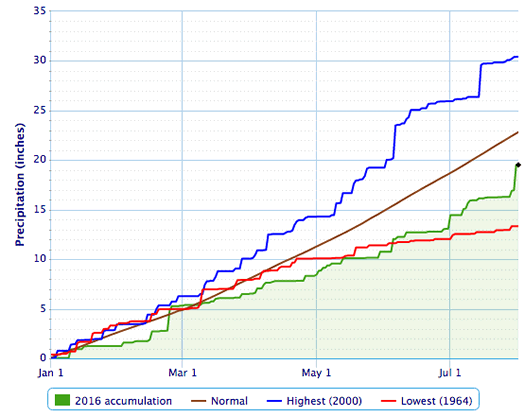albany precipitation accumulation 2016 through July