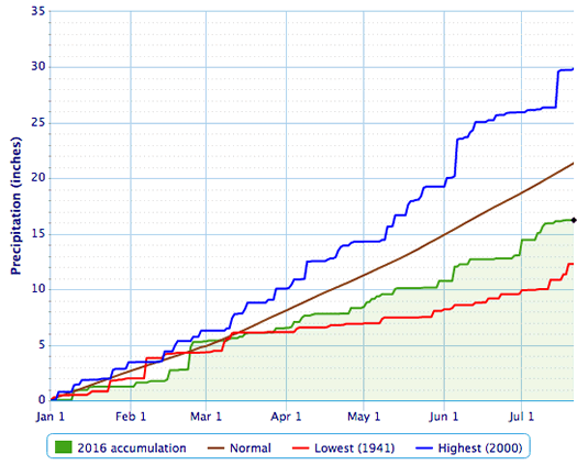 albany precipitation accumulation ytd 2016-07-21