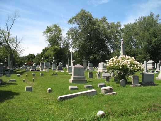 Albany Rural Cemetery wide shot