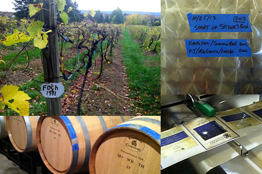 altamont vineyard composite