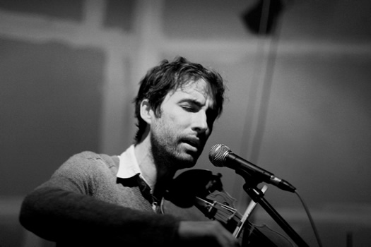 andrew bird