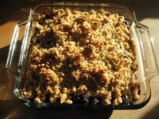 blueberry crumble baked