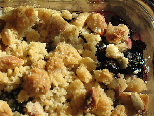 blueberry crumble corner closeup