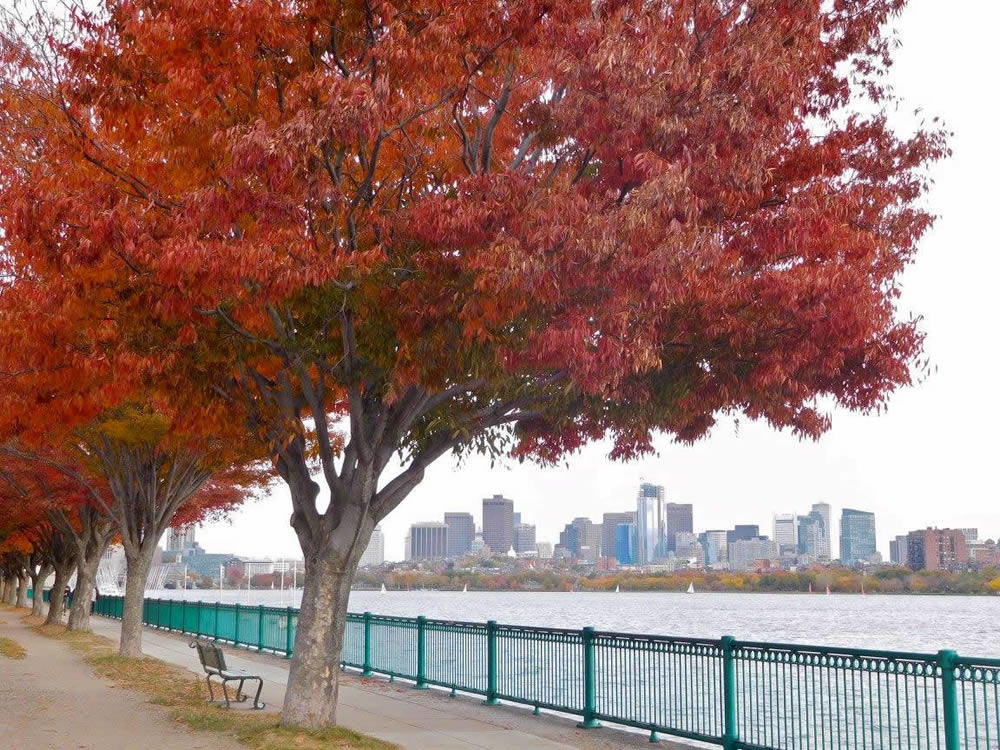 boston_julie_madsen_Charles_River_Esplanade.jpg