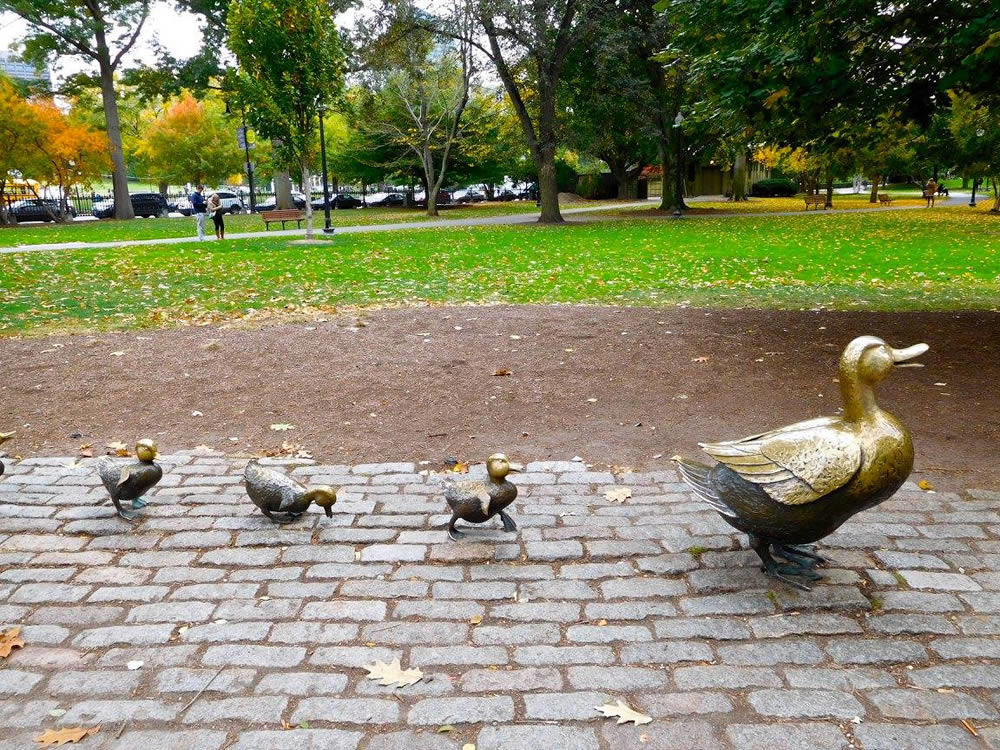 boston_julie_madsen_Public_Garden_duck_statues.jpg