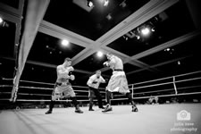 boxing empire state plaza