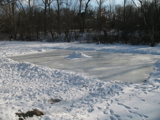 buckingham ice rink 2