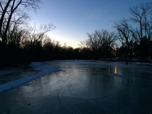buckingham pond evening ice skating