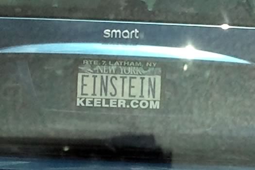 bumper_gawking_EINSTEIN_via_Arielle.jpg