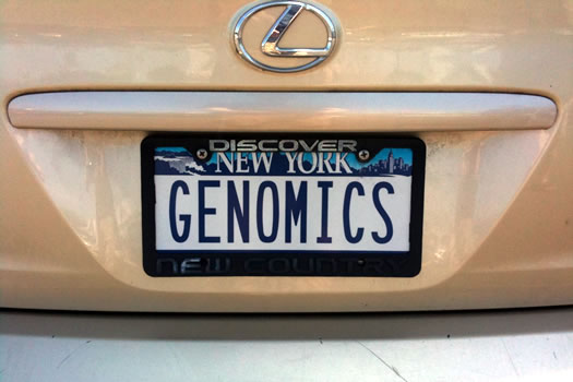 bumper_gawking_GENOMICS.jpg