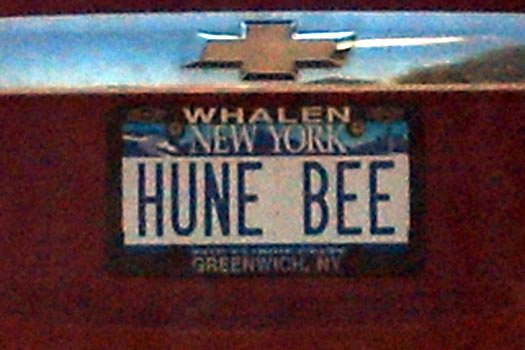 bumper_gawking_HUNE_BEE_via_Naomi.jpg