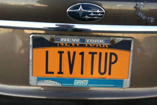 bumper_gawking_LIV1TUP.jpg