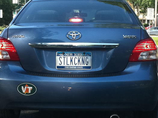 bumper_gawking_STLKCKNG.jpg