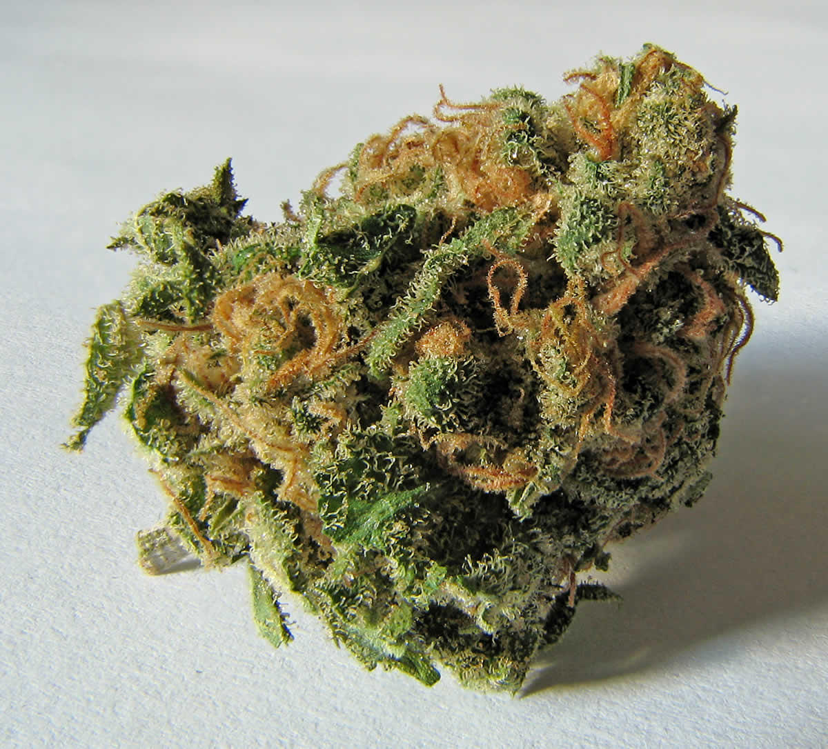 marijuana cannabis bud closeup CC Ryan Bushby