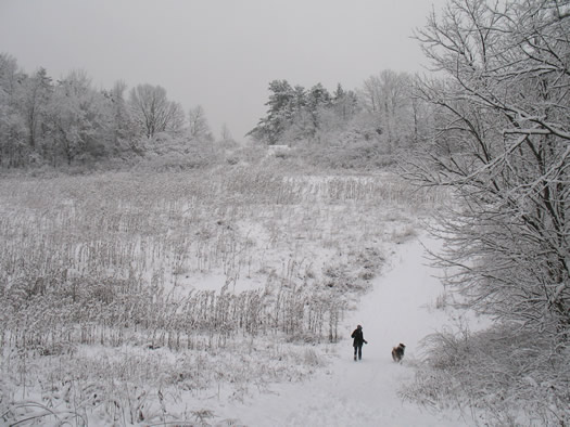 capital hills leap day snow