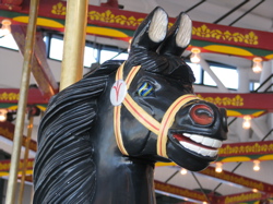 carousel pony.jpg