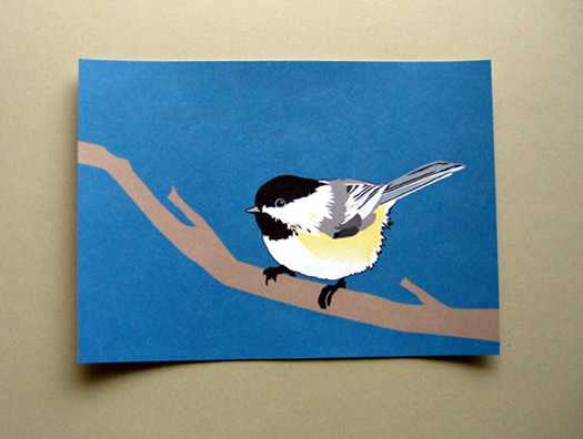 casey wilkinson chickadee