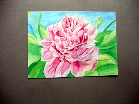 casey wilkinson peony