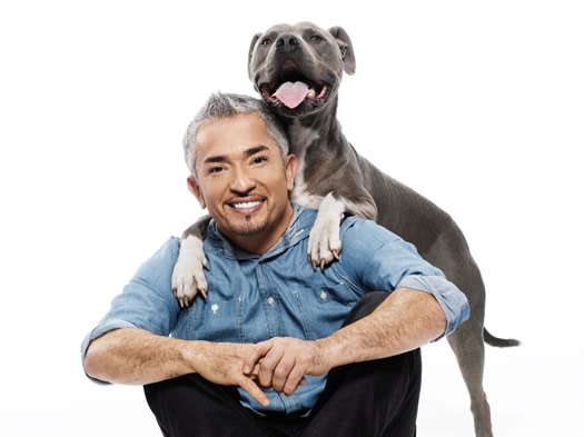 cesar millan 2014