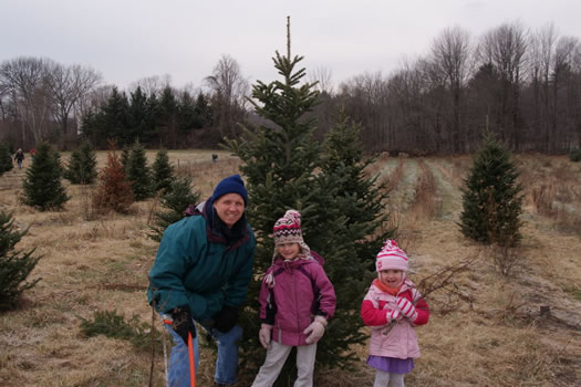 christmas tree farm beltramo