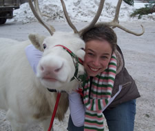 christmas tree farms bobs trees reindeer